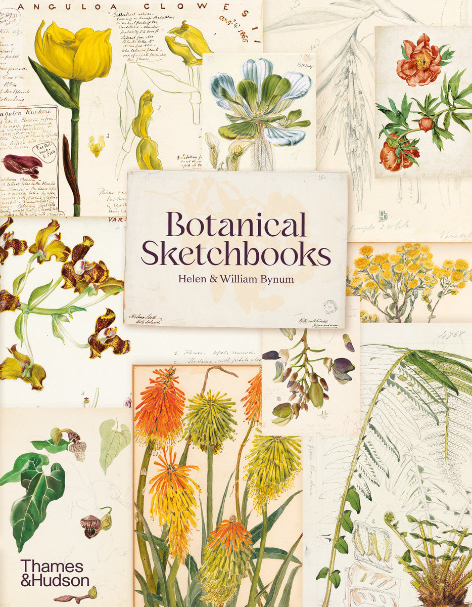 Botanical Sketchbooks | Thames & Hudson Australia
