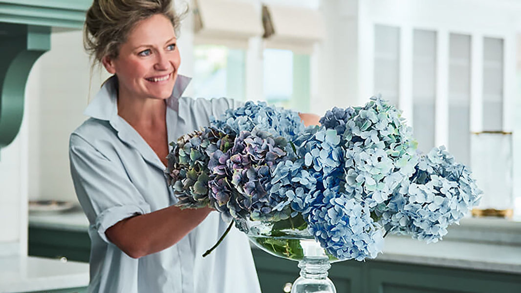 A Lesson in Embracing Colour with Interior Designer Charlotte Coote