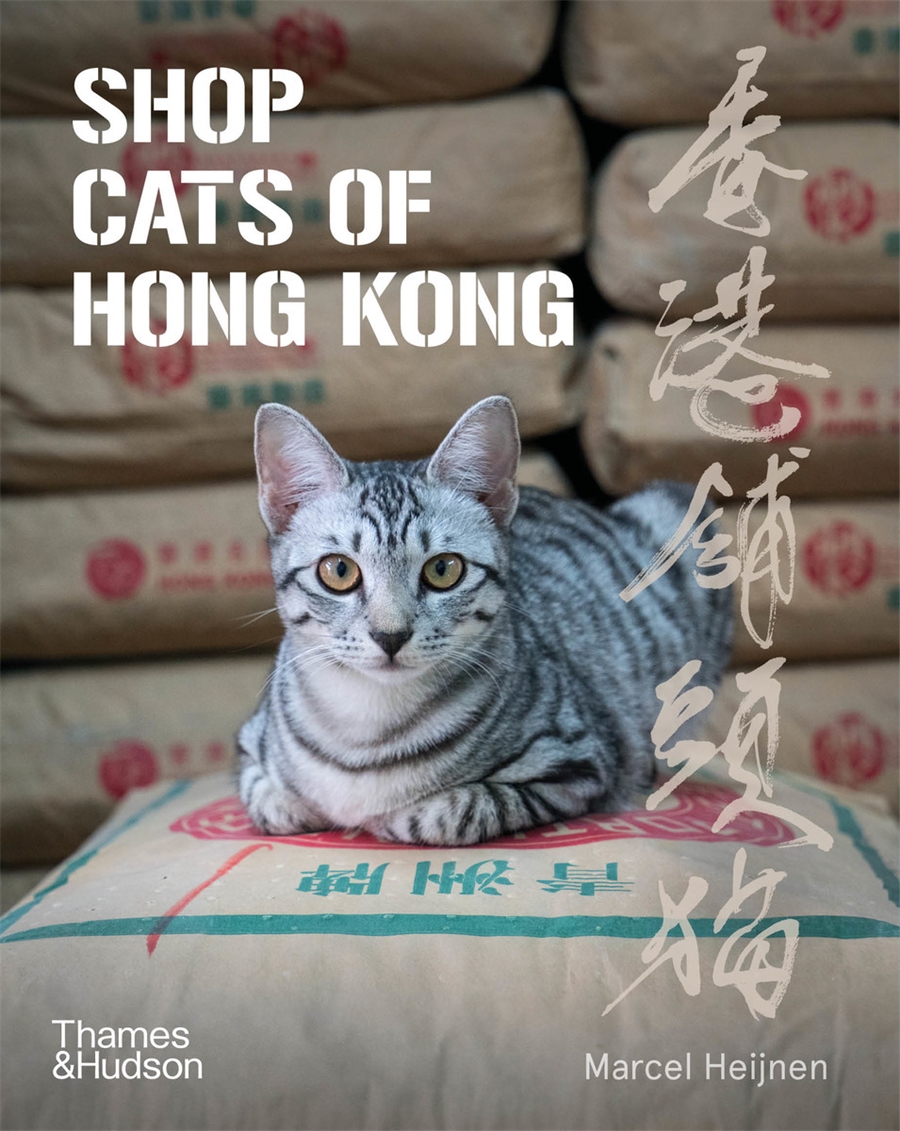 Shop Cats of Hong Kong | Thames & Hudson Australia & New Zealand