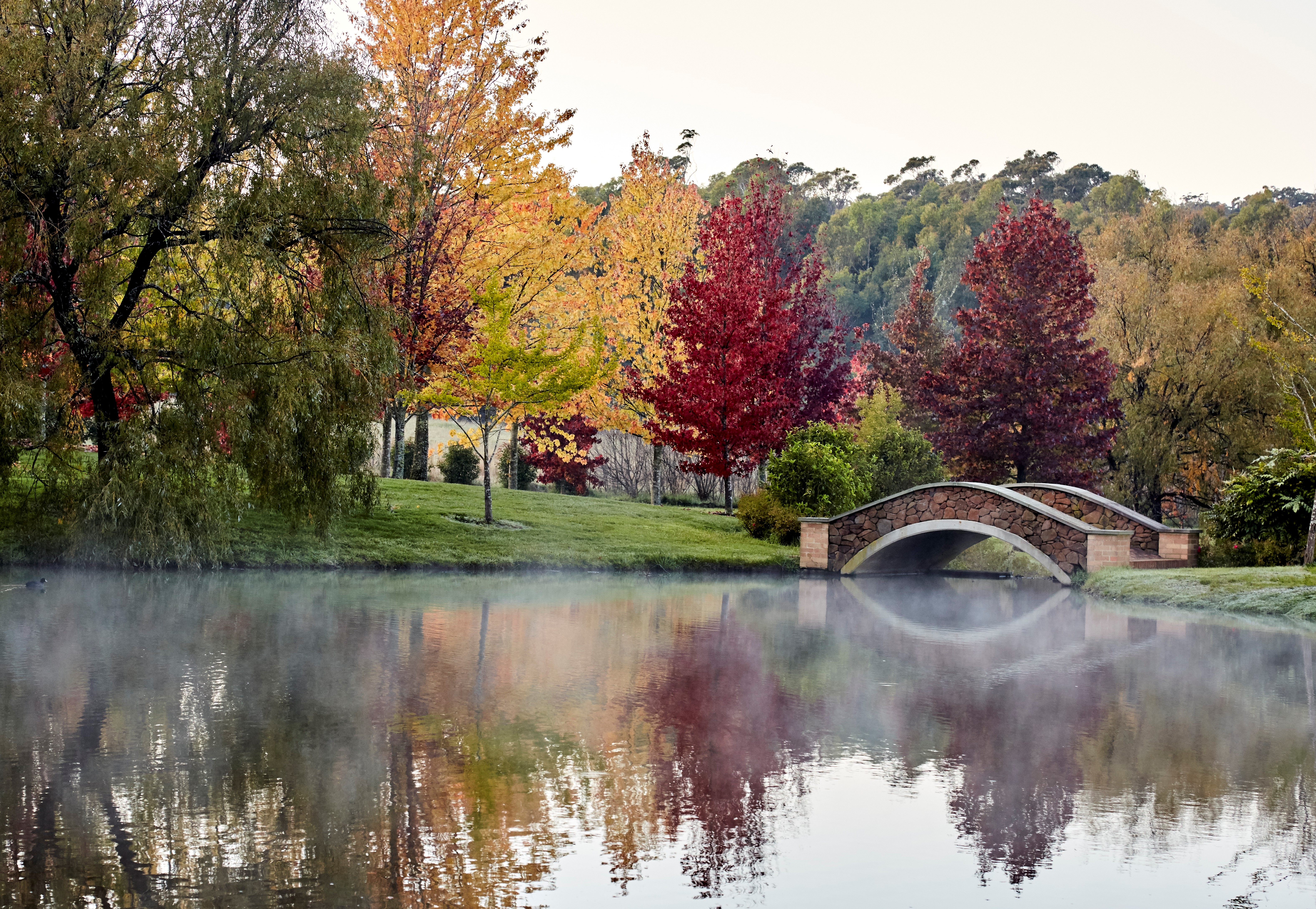 The beautiful Southern Highlands of New South Wales Thames & Hudson