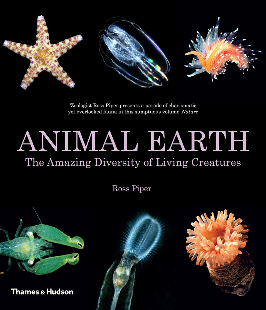 Animal Earth | Thames & Hudson Australia & New Zealand