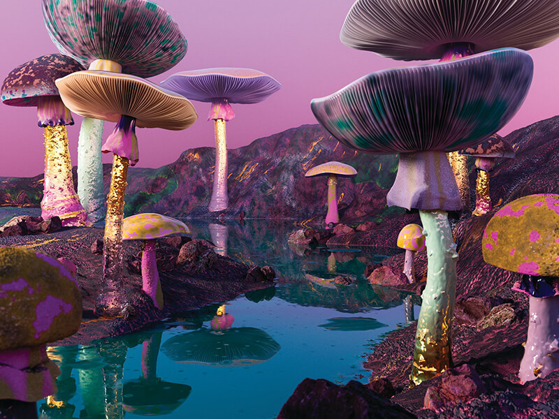 Workshop – Mycoremediation, a sustainable strategy for the