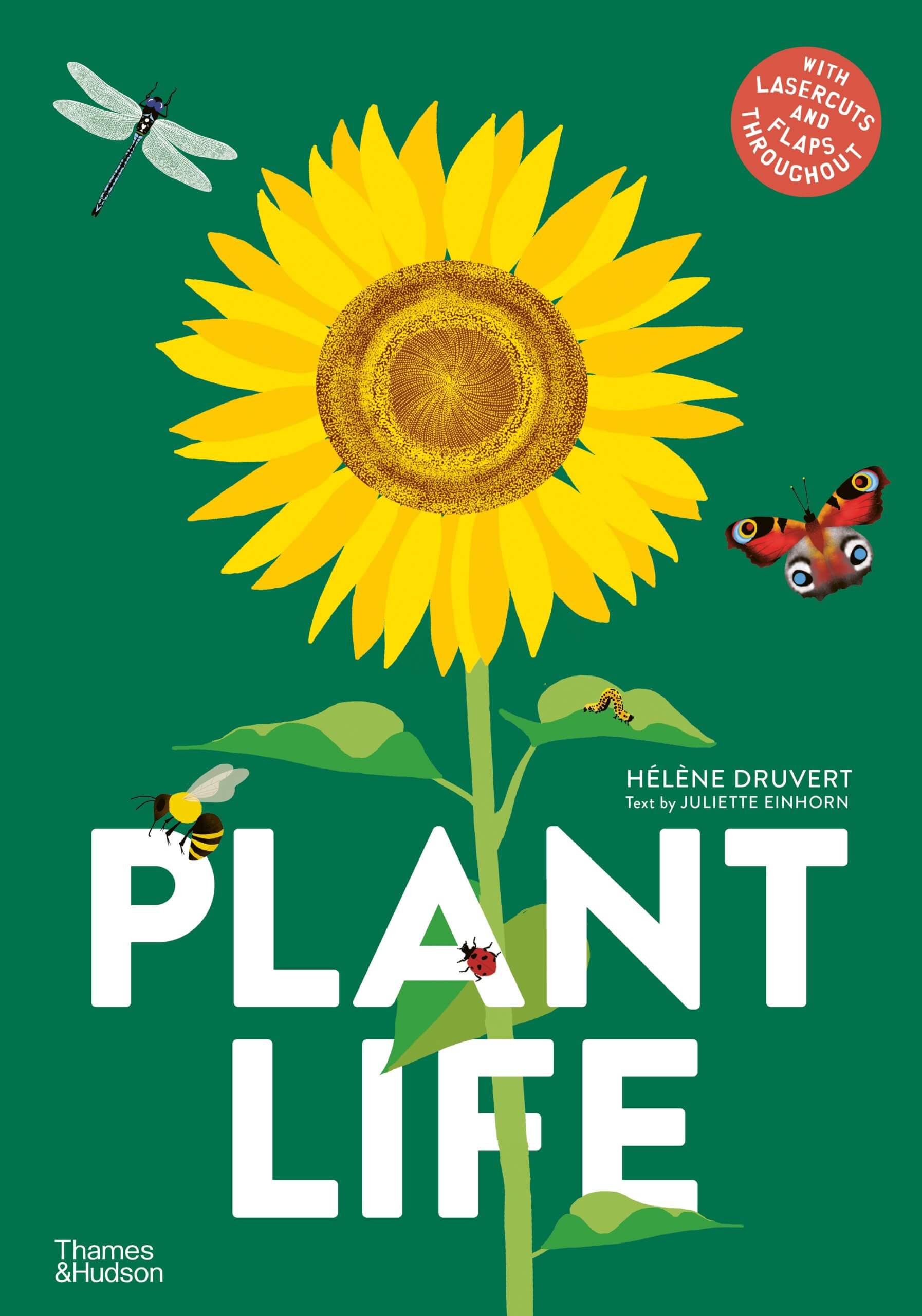 Book cover featuring illustrated sunflower on green background. Title printed in large, white, sans serif font