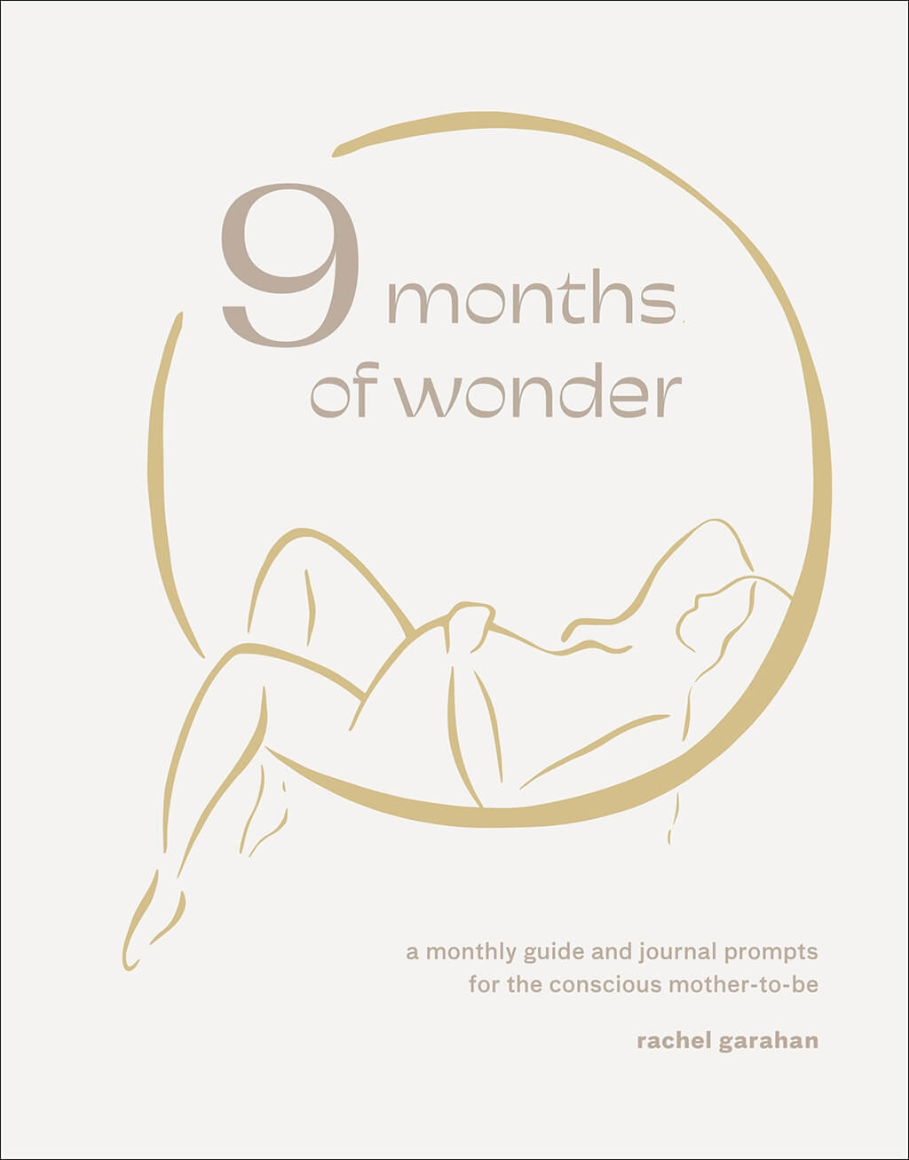 Cover of 9 Months of Wonder